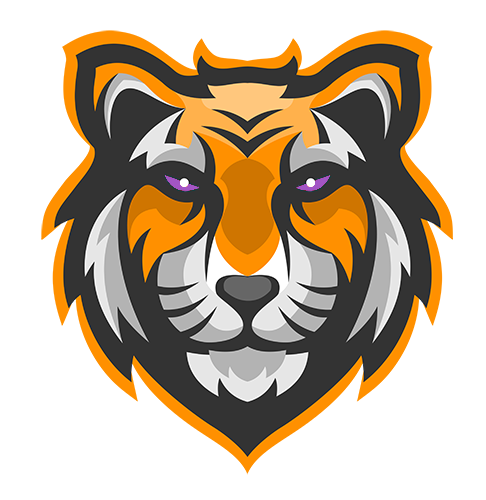 Cyber Tiger Technologies